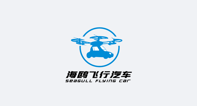 Seagull（Suzhou）Flying Car Limited